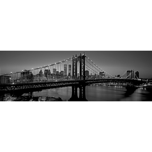Manhattan Bridge and Skyline