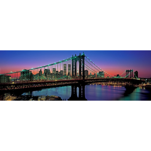 Manhattan Bridge and Skyline