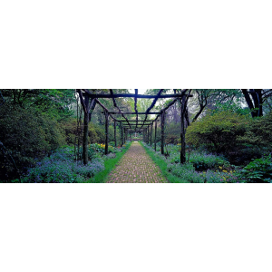 Garden path, Old Westbury...