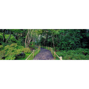 Tea Garden Walkway, San...