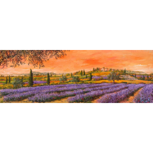 Filari di lavanda