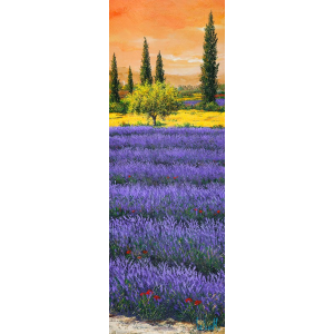 Pomeriggio tra la lavanda