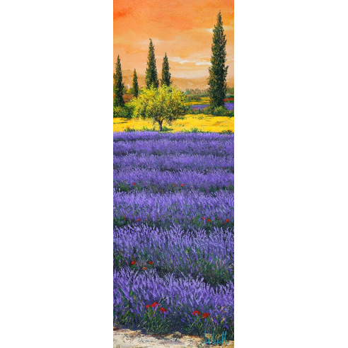 Pomeriggio tra la lavanda