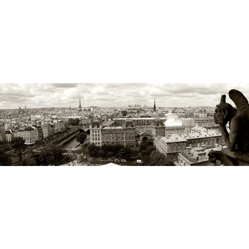 Paris Panorama
