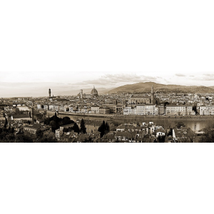 Panoramic view of Florence