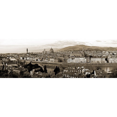 Panoramic view of Florence