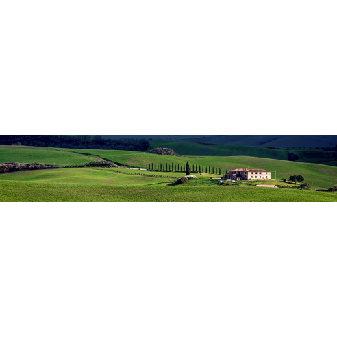 A villa in Tuscany