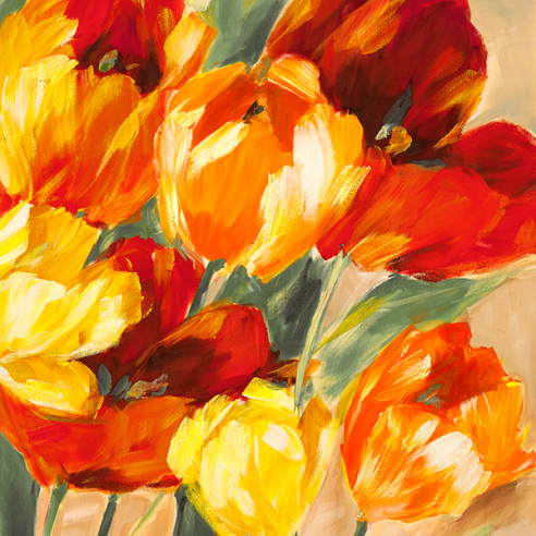 Tulips in the Sun II