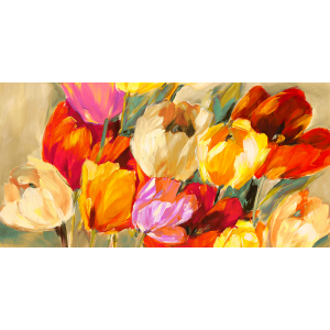 Field of Colorful Tulips