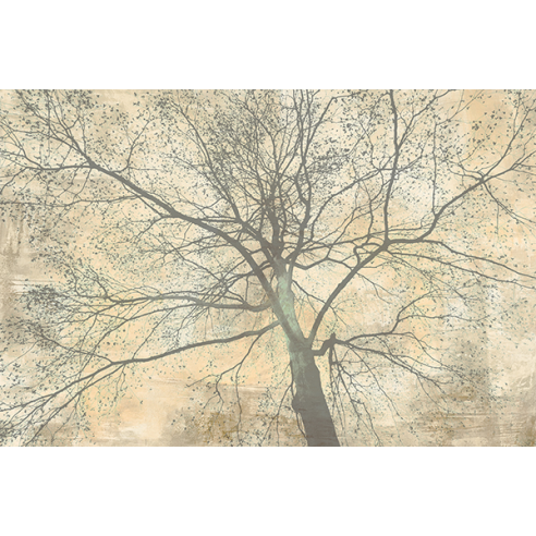 Below My Tree II