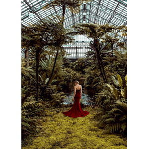 Unconventional Womenscape...