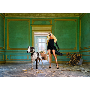Unconventional Womenscape...