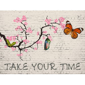 Take your time