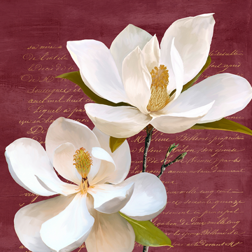 Burgundy Magnolia II