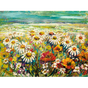 Margherite sotto un cielo...