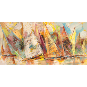 Moto di vele in regata