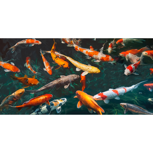 Pond with Koi-Fish (detail)
