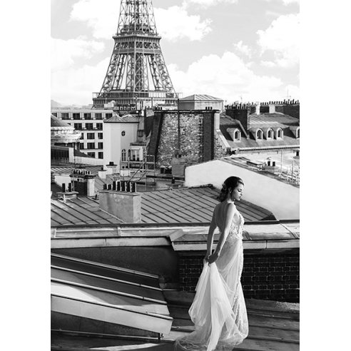 On the roofs in Paris
