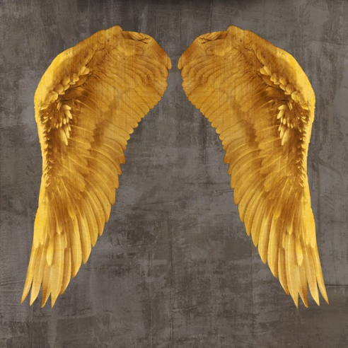 Angel Wings I
