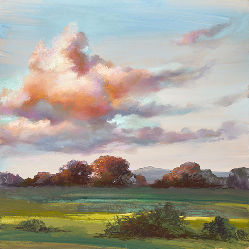 Devon sky I