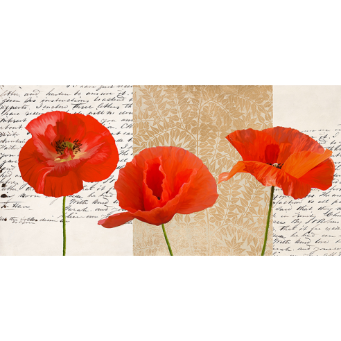 Three Poppies