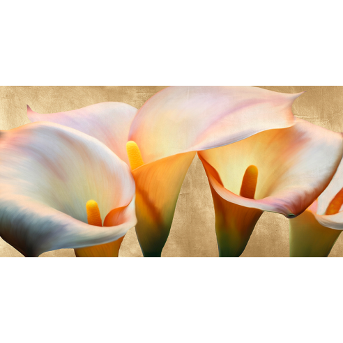 Jewel Callas (detail)