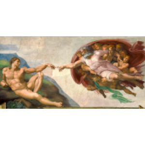 The Pixelation of Adam