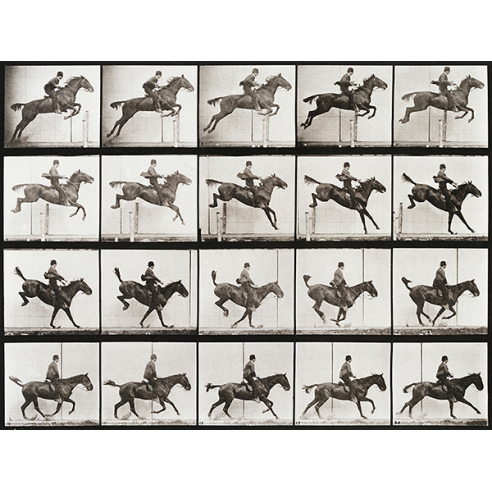 Animal Locomotion, Plate 637