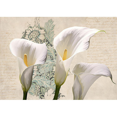 Three Callas