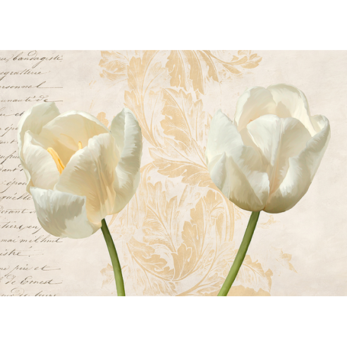Two Tulips