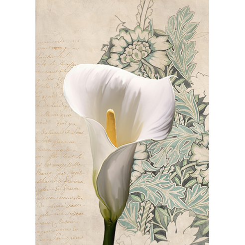 Calla I