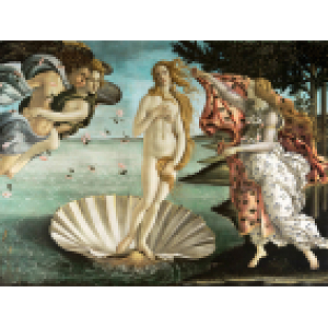 The Pixelation of Venus