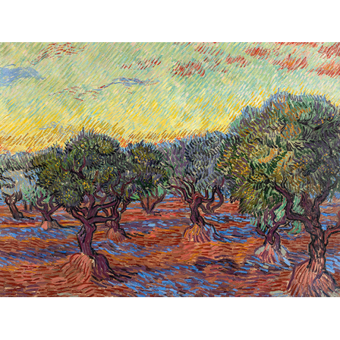 Olive Grove, Saint-Rémy
