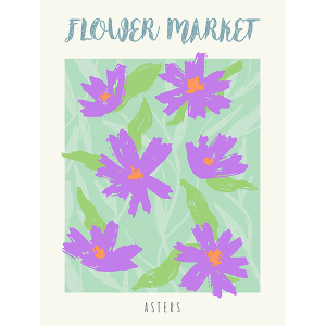Flower Market: Asters