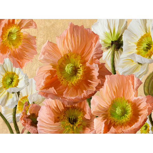 Poppies Of Gold