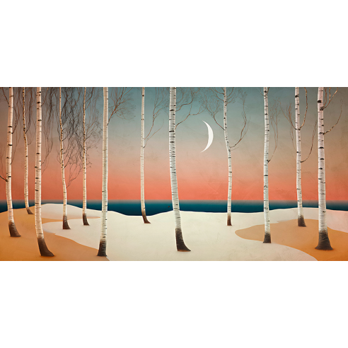 Moonlight on the Birch Forest