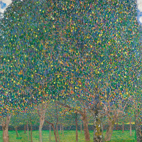 Pear Tree, 1903