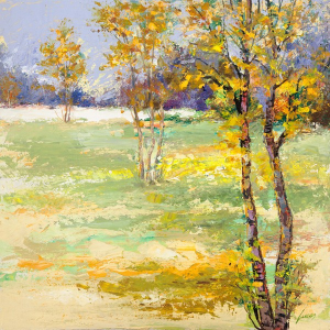 Brezza del bosco