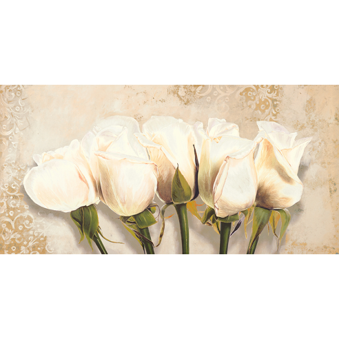 White Rose Buds