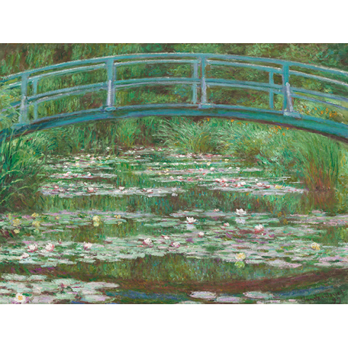 Water Lily Pool 