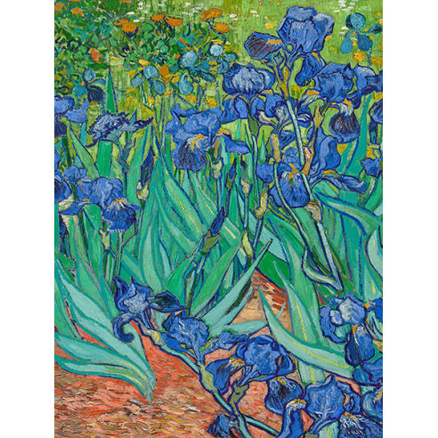 Irises (detail)