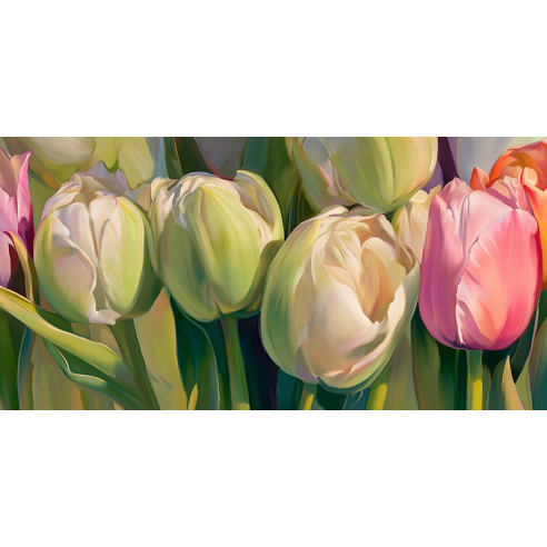 Fresh tulips