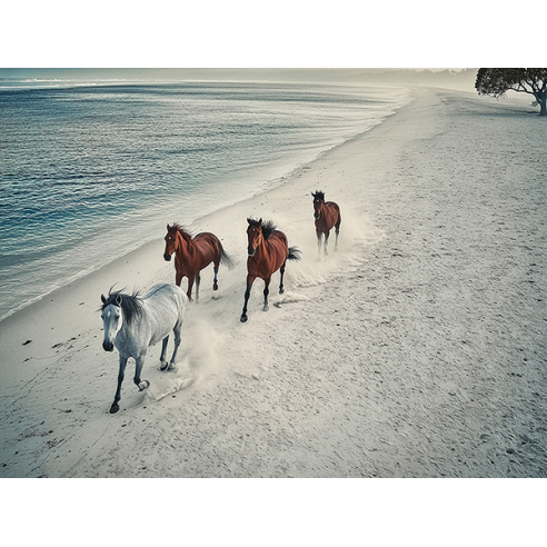 Herd of wild horses