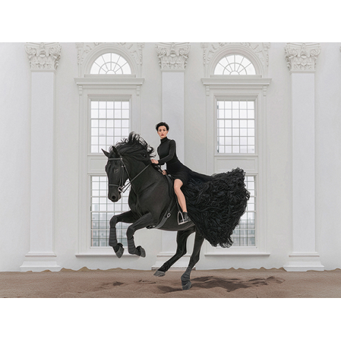 Riding Stables