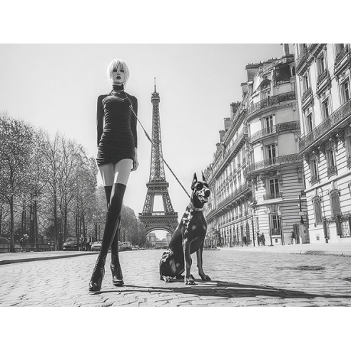 Walking the Pet