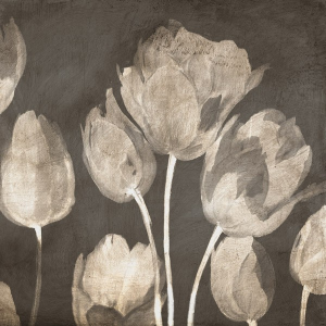 Washed Tulips II