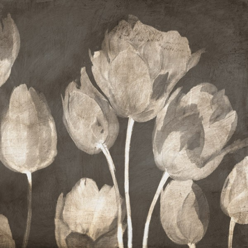 Washed Tulips II