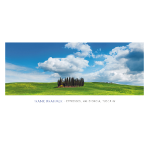 Cypresses, Val d'Orcia,...