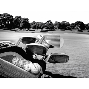 In a Golf Mood
