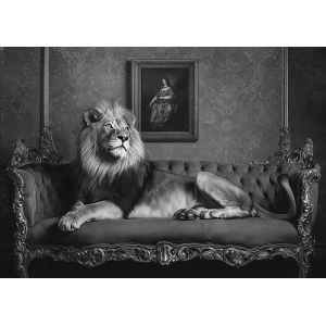 Animal Kingdom II BW